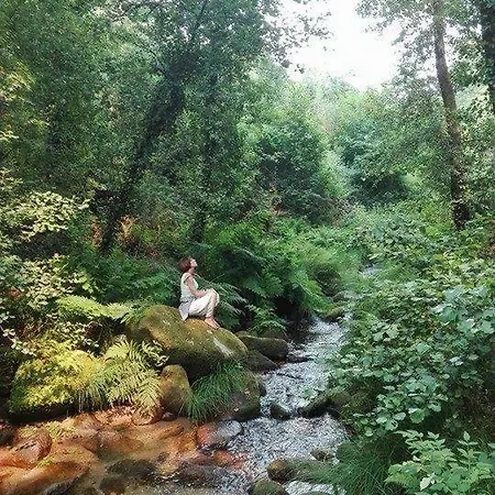 Quinta Da Mata *