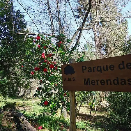 Lantgård Quinta Da Mata Vouzela